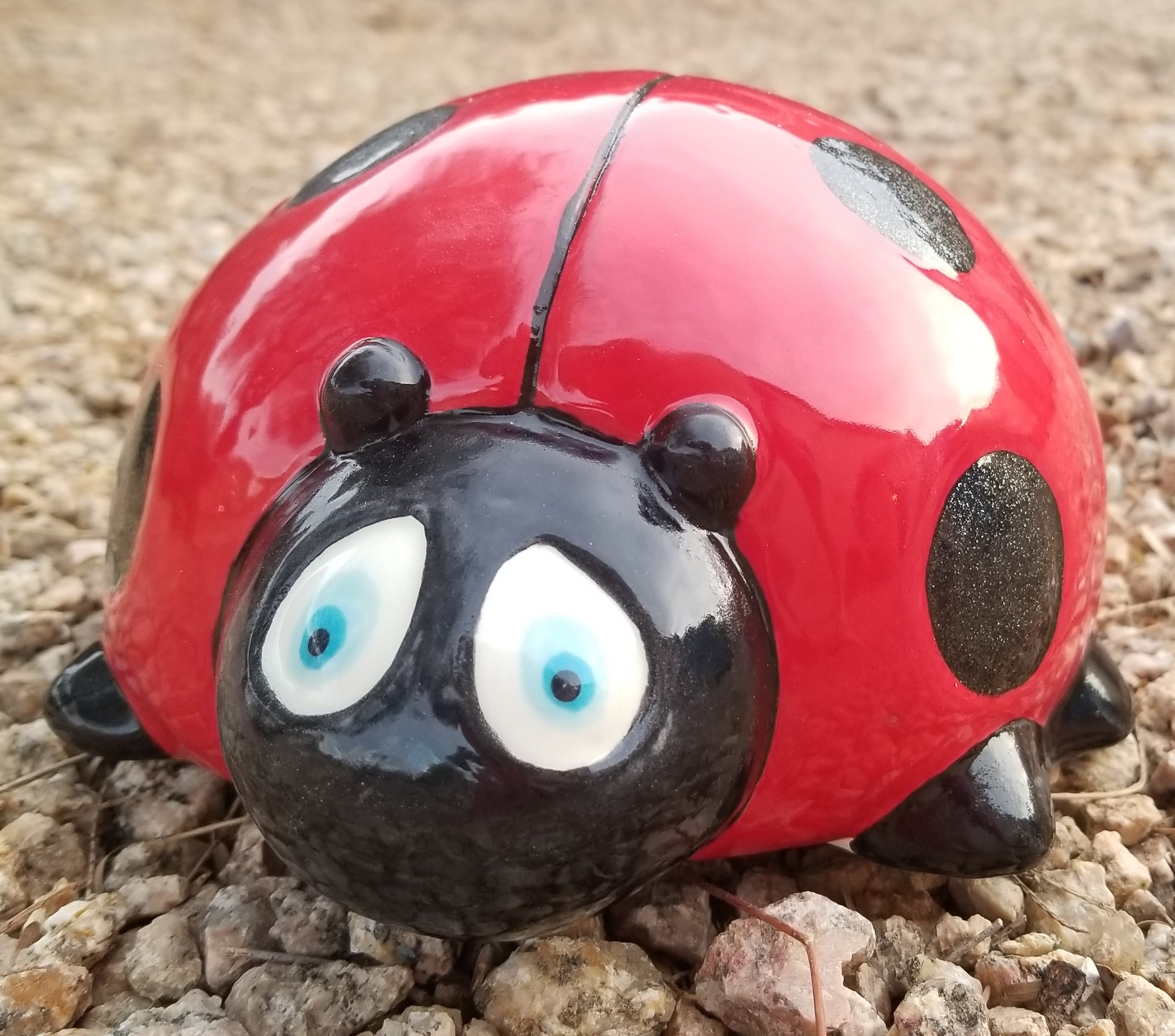 Ladybug - Outside 2