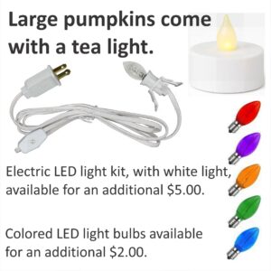 words for pumpkin lights