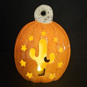 Cactus with stars - painted