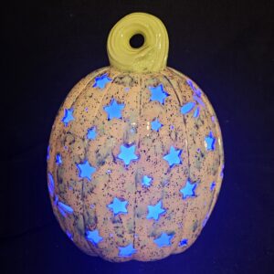 dragon fly with stars - painted and lit